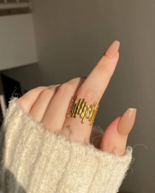 548190303_1131463612468497_1858811831097287153_n Bague