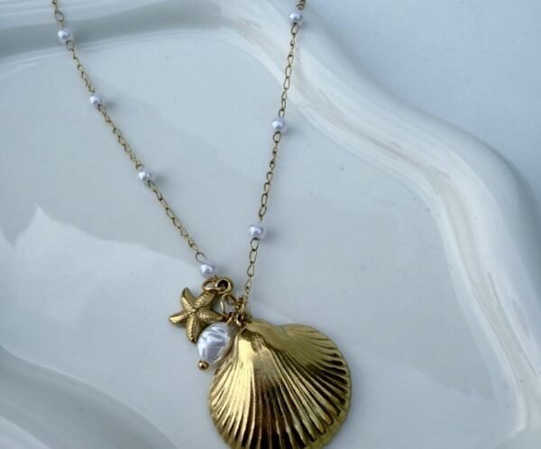 Collier Coquillage